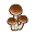 juimaize