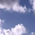 somnolent