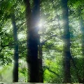 naturewalk